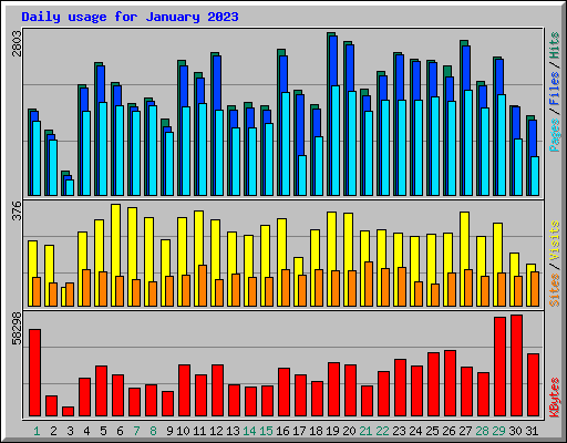 Daily usage for January 2023