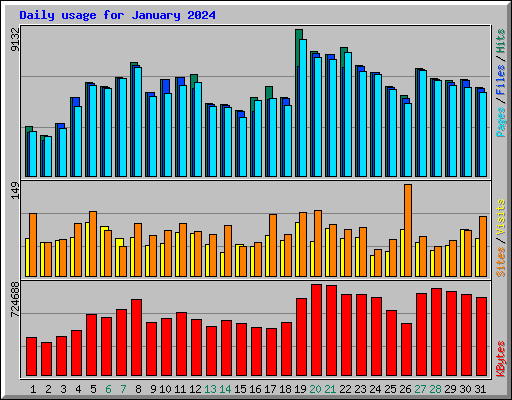 Daily usage for January 2024