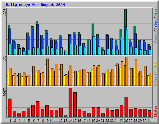 Daily usage for August 2024
