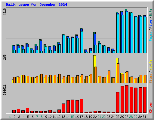 Daily usage for December 2024