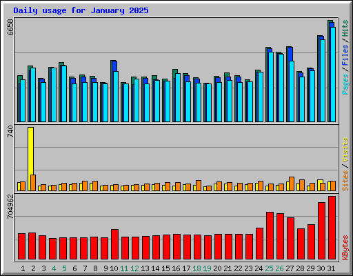 Daily usage for January 2025