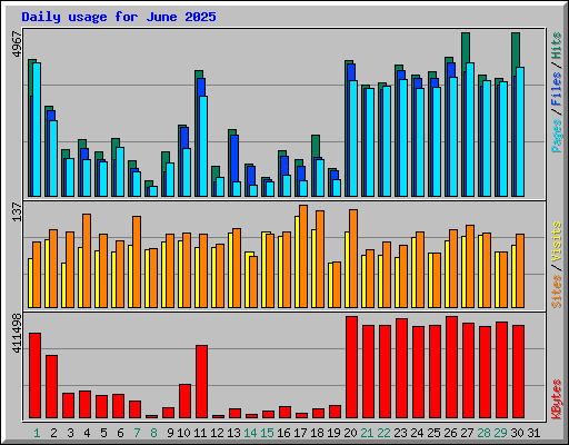 Daily usage for June 2025