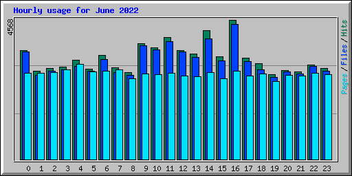 Hourly usage for June 2022