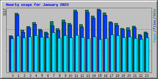 Hourly usage for January 2023
