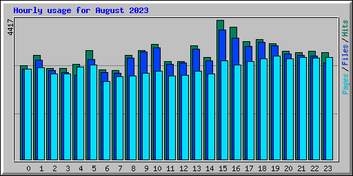 Hourly usage for August 2023