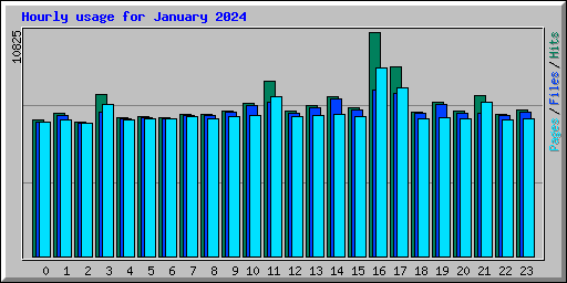 Hourly usage for January 2024