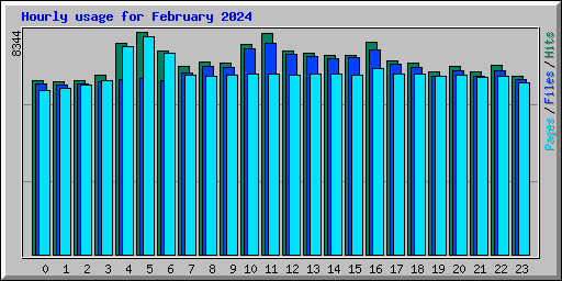 Hourly usage for February 2024