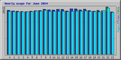 Hourly usage for June 2024