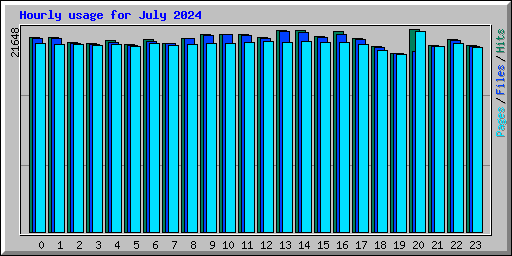 Hourly usage for July 2024