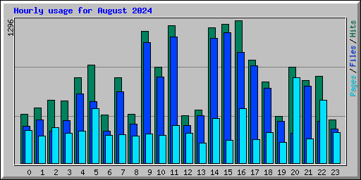 Hourly usage for August 2024