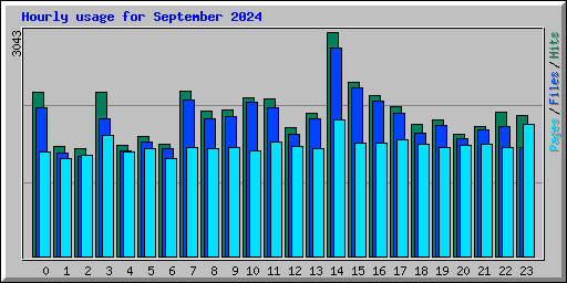 Hourly usage for September 2024