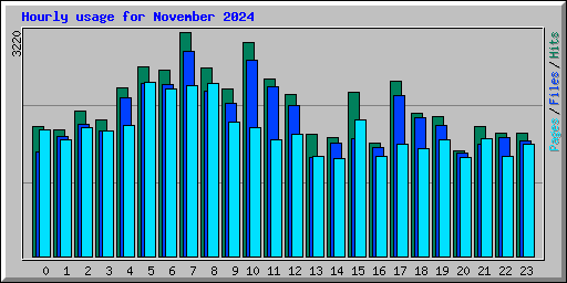 Hourly usage for November 2024