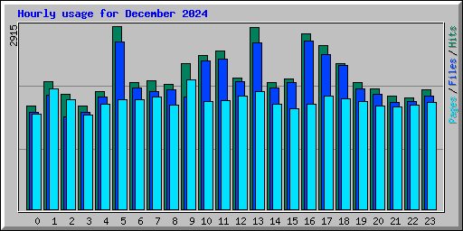 Hourly usage for December 2024