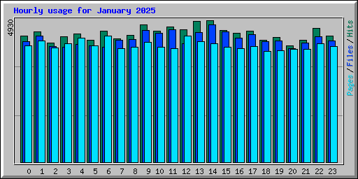 Hourly usage for January 2025