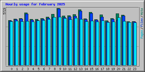 Hourly usage for February 2025