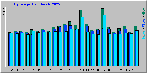Hourly usage for March 2025