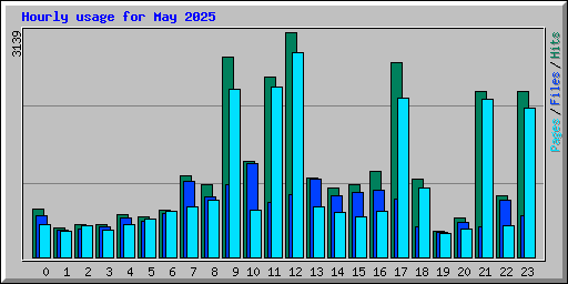 Hourly usage for May 2025