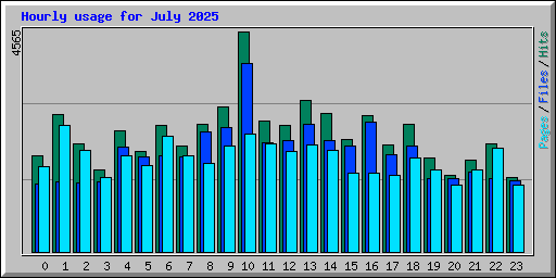 Hourly usage for July 2025