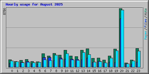 Hourly usage for August 2025